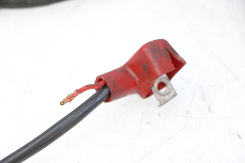 photo de KABELBOOM DAELIM HISTORY 125 (2001 - 2002) - Overzicht