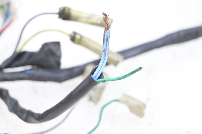 photo de KABELBOOM PEUGEOT KISBEE 2T 50 (2018 - 2022) - Staat van het oppervlak