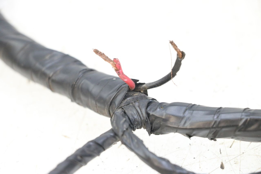 photo de KABELBOOM PEUGEOT KISBEE 2T 50 (2018 - 2022) - Gecontroleerd onderdeel