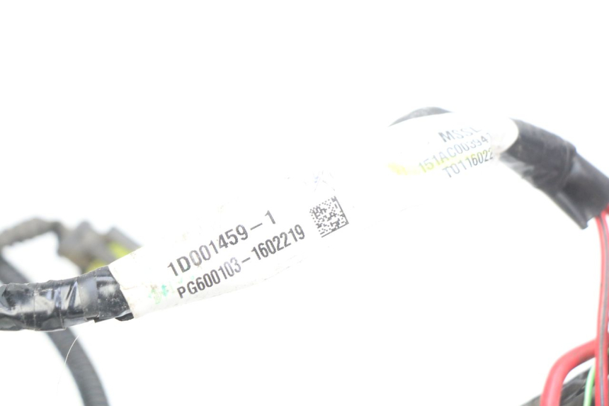 photo de KABELBOOM PIAGGIO LIBERTY IGET 4T 50 (2015 - 2020) - Overzicht