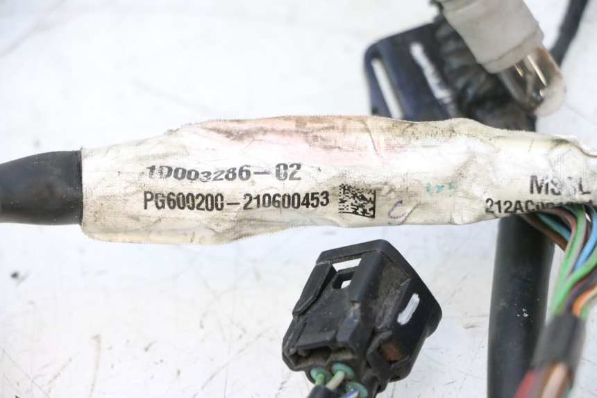 photo de KABELBOOM PIAGGIO LIBERTY IGET 4T 50 (2021 - 2025) - Aanvullende foto