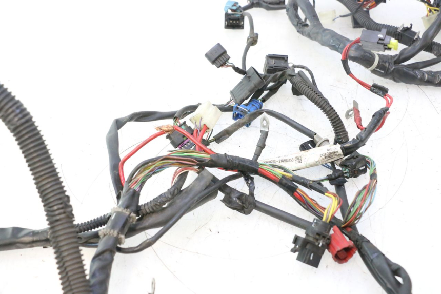 photo de KABELBOOM PIAGGIO LIBERTY IGET 4T 50 (2021 - 2025) - Focus op structuur