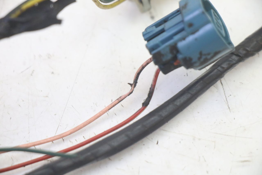 photo de KABELBOOM PEUGEOT LUDIX 50 (2008 - 2017) - Technische close-up