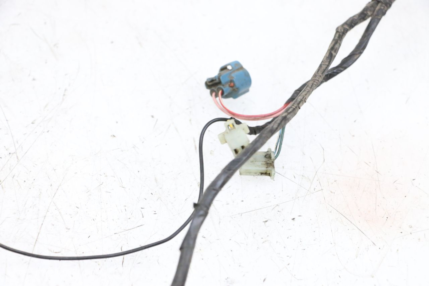 photo de KABELBOOM PEUGEOT LUDIX 50 (2005 - 2007) - Kenmerkende details