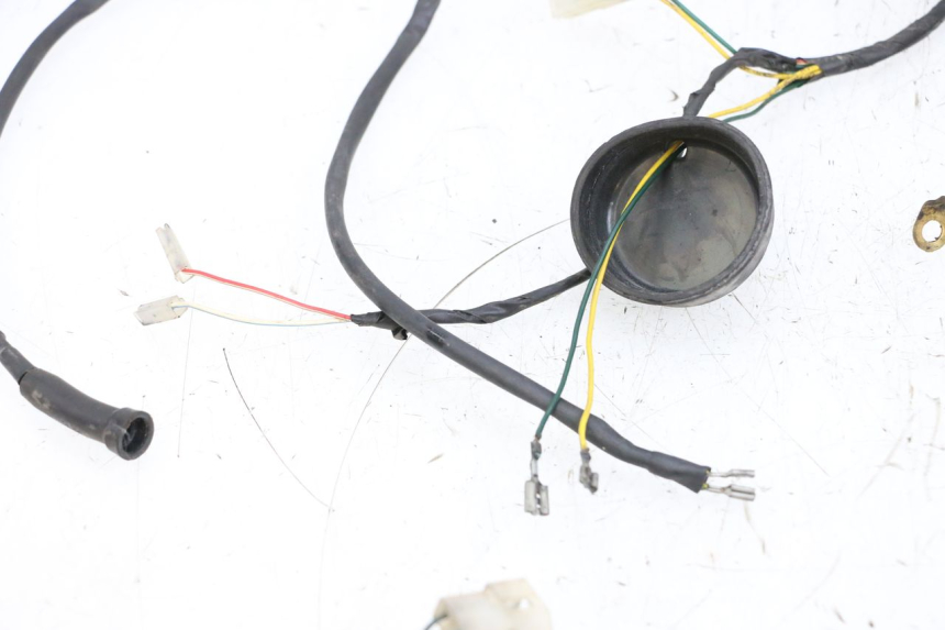 photo de KABELBOOM PEUGEOT LUDIX 50 (2005 - 2007) - Detailaanzicht