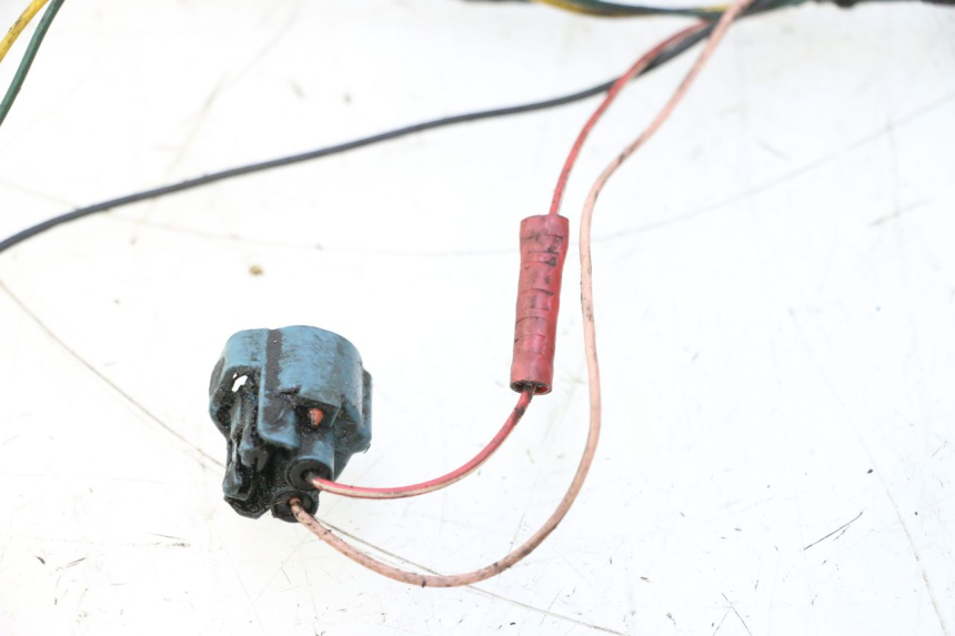 photo de KABELBOOM PEUGEOT LUDIX ONE 50 (2004 - 2006) - Technische close-up