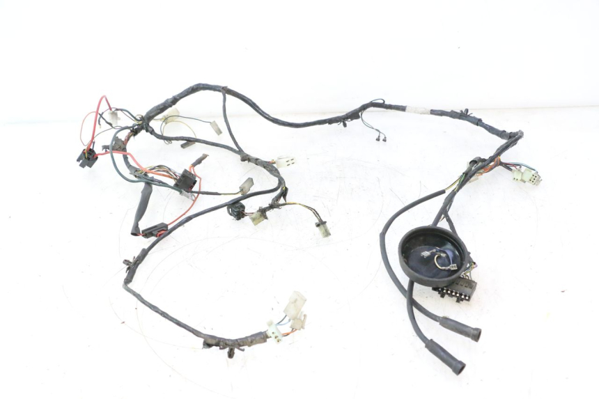 photo de KABELBOOM PEUGEOT LUDIX PRO 2T 50 (2010 - 2017) - Hoofdaanzicht