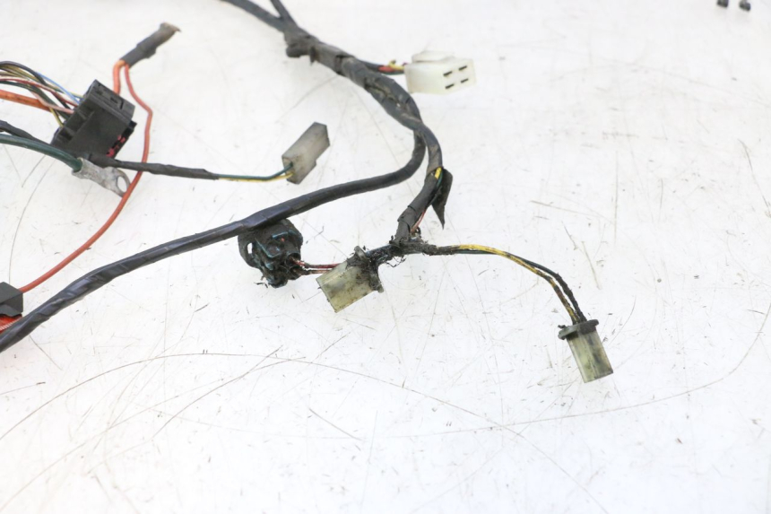 photo de KABELBOOM PEUGEOT LUDIX PRO 2T 50 (2010 - 2017) - Profielaanzicht