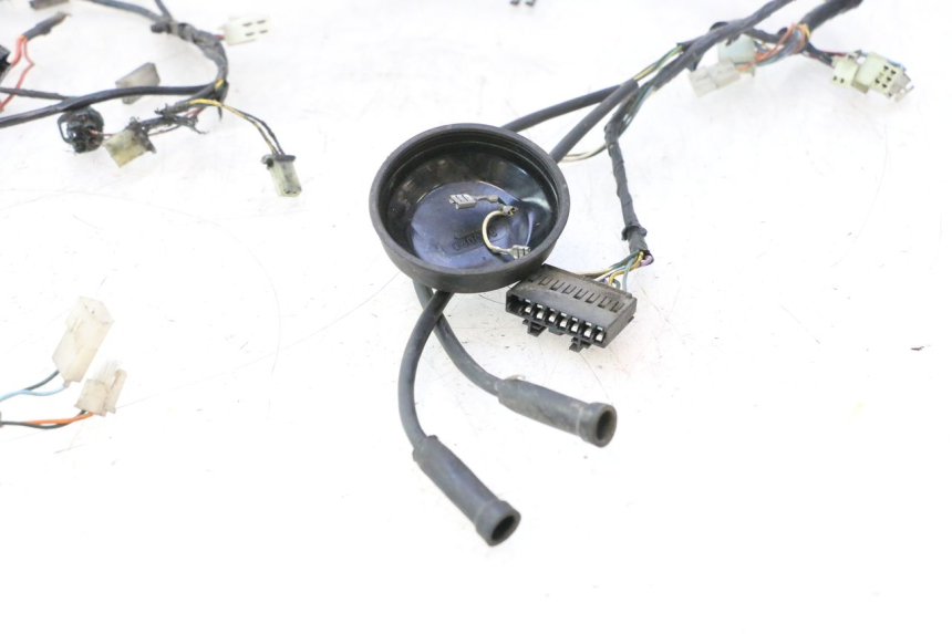 photo de KABELBOOM PEUGEOT LUDIX PRO 2T 50 (2010 - 2017) - Detail van het onderdeel
