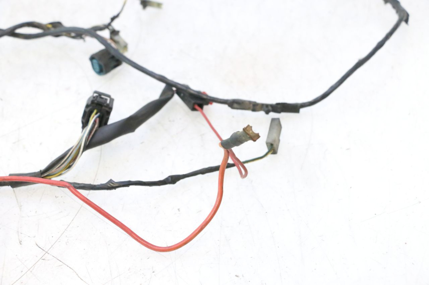photo de KABELBOOM PEUGEOT LUDIX PRO 2T 50 (2010 - 2017) - Overzicht