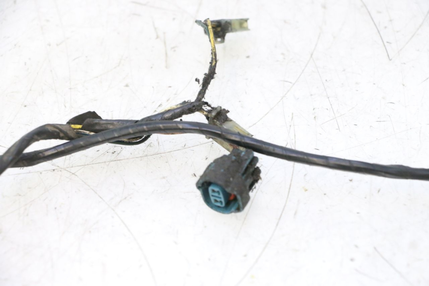 photo de KABELBOOM PEUGEOT LUDIX PRO 2T 50 (2010 - 2017) - Gecontroleerd onderdeel