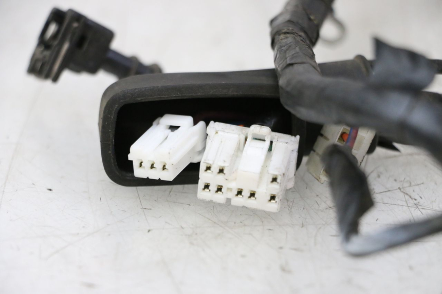 photo de KABELBOOM PIAGGIO LXV 4T 50 (2009 - 2013) - Staat van het oppervlak