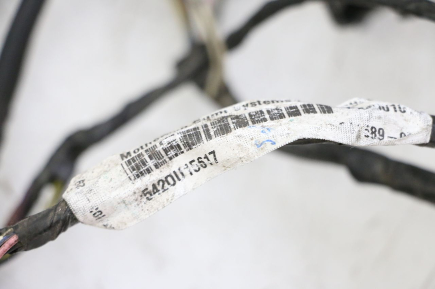 photo de KABELBOOM PIAGGIO LXV 4T 50 (2009 - 2013) - Gecontroleerd onderdeel