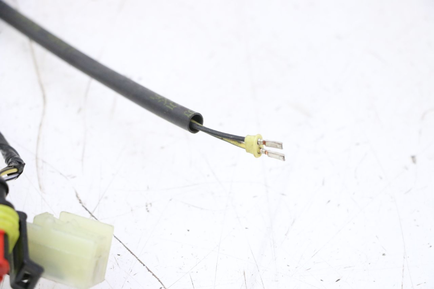 photo de KABELBOOM PIAGGIO MP3 HPE 310 (2024 - 2025) - Hoofdaanzicht