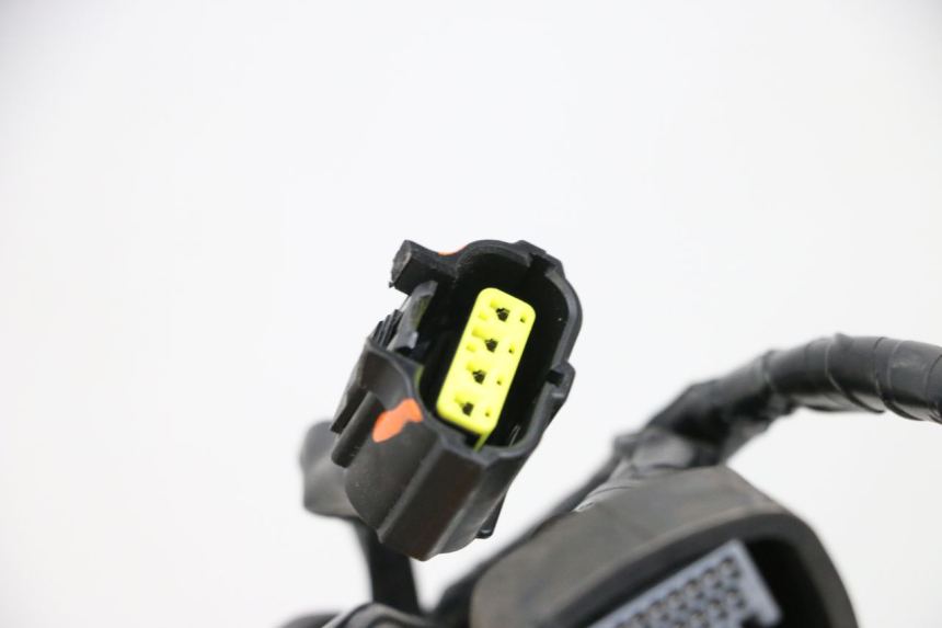 photo de KABELBOOM YAMAHA NEO'S CORE 1 (2022 - 2026) - Markeringen en referenties