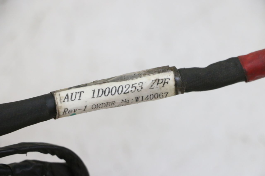 photo de KABELBOOM PIAGGIO NEW TYPHOON 50 (2010 - 2017) - Detail van het onderdeel