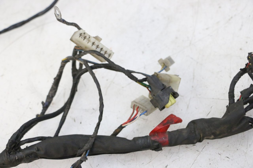 photo de KABELBOOM PIAGGIO NEW TYPHOON 50 (2010 - 2017) - Andere kijkhoek