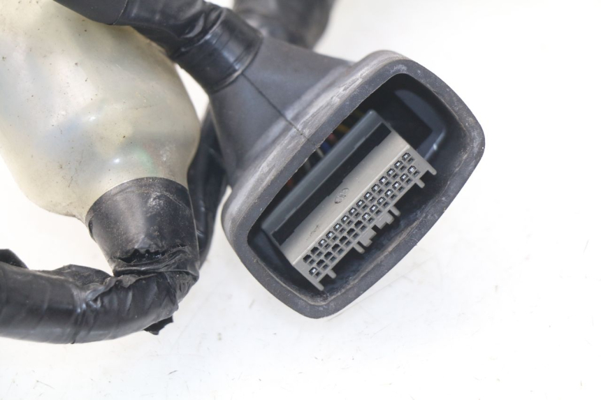 photo de KABELBOOM HONDA NSS EX FORZA 250 (2005 - 2013) - Overzicht