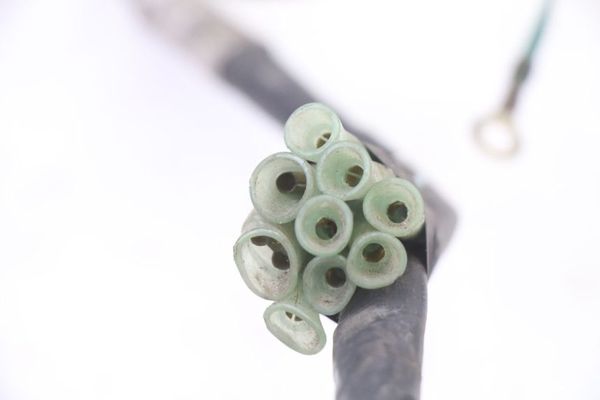 photo de KABELBOOM HONDA NTV DEAUVILLE 650 (2001 - 2006) - Andere kijkhoek