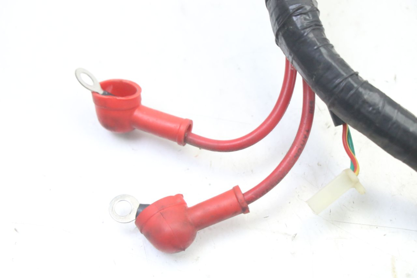 photo de KABELBOOM JM MOTORS OLDIES GT 4T 50 (2018 - 2025) - Andere kijkhoek