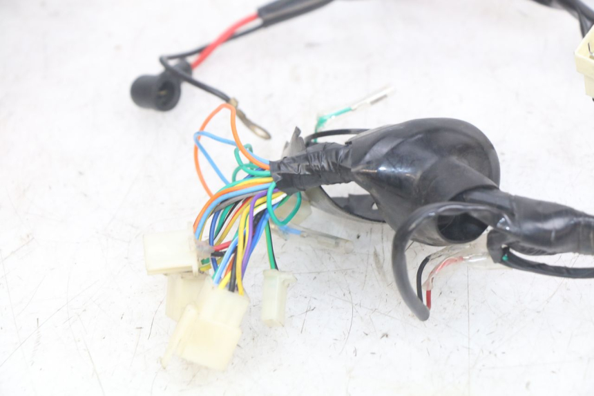 photo de KABELBOOM JM MOTORS OLDIES RS 4T 50 (2021 - 2024) - Kenmerkende details