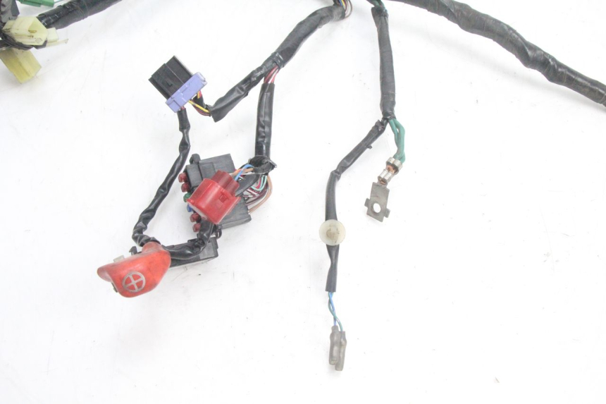 photo de KABELBOOM HONDA PCX (JF28) 125 (2009 - 2011) - Technische close-up