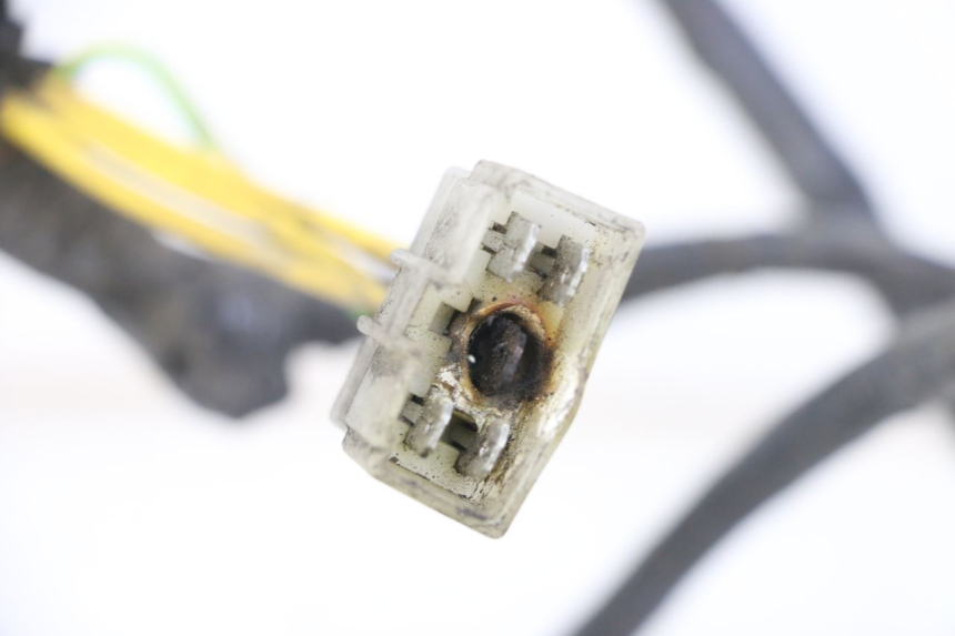 photo de KABELBOOM PEUGEOT ELYSTAR 125 (2002 - 2007) - Overzicht