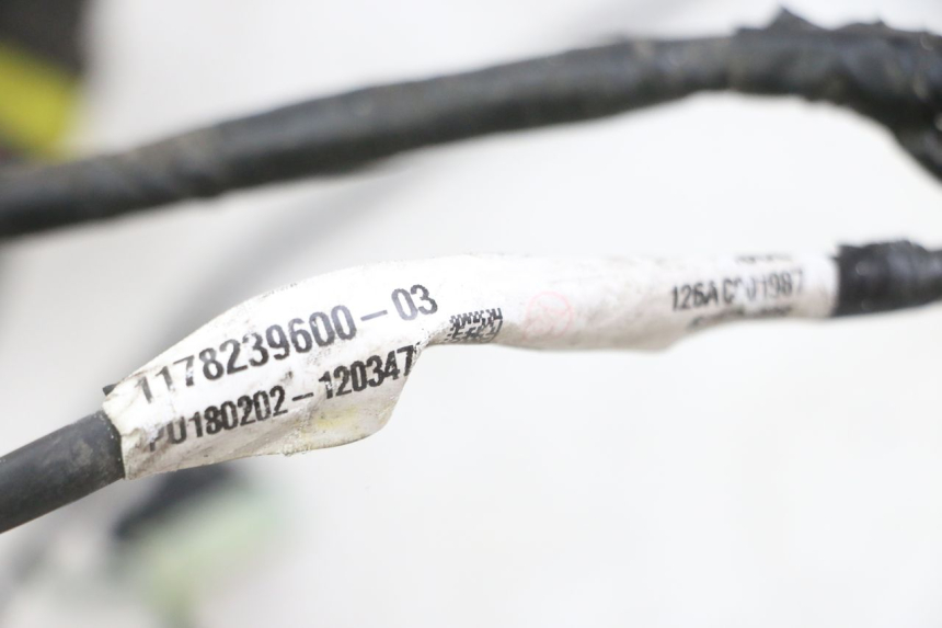 photo de KABELBOOM PEUGEOT SATELIS 125 (2013 - 2018) - Zoom op gebruiksstaat