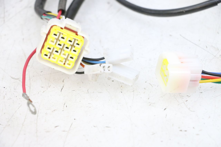 photo de KABELBOOM EFUN PUSA 1 - Kenmerkende details