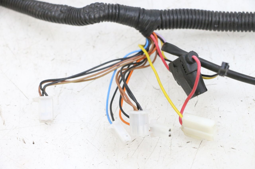 photo de KABELBOOM EFUN PUSA 1 - Zoom op gebruiksstaat