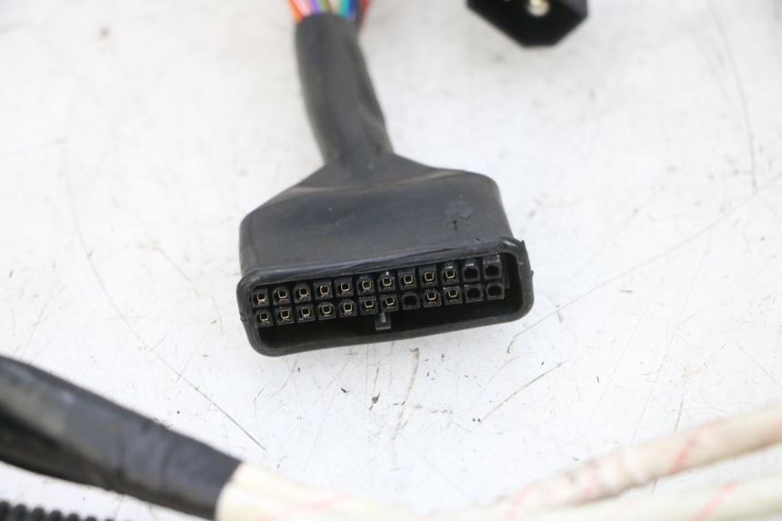 photo de KABELBOOM EFUN PUSA 1 - Overzicht