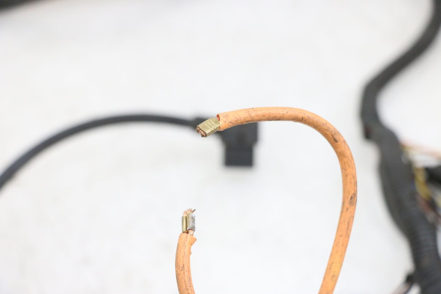 photo de KABELBOOM EFUN PUSA 1 - Overzicht