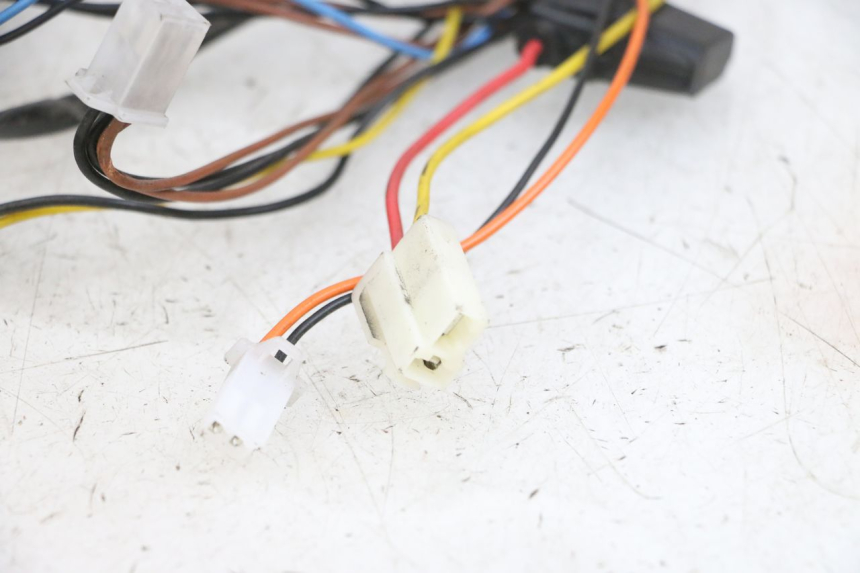 photo de KABELBOOM EFUN PUSA 1 - Markeringen en referenties