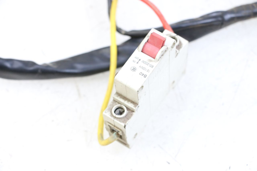 photo de KABELBOOM DOLPHIN PYGMY 1 (2020 - 2024) - Detail van het onderdeel