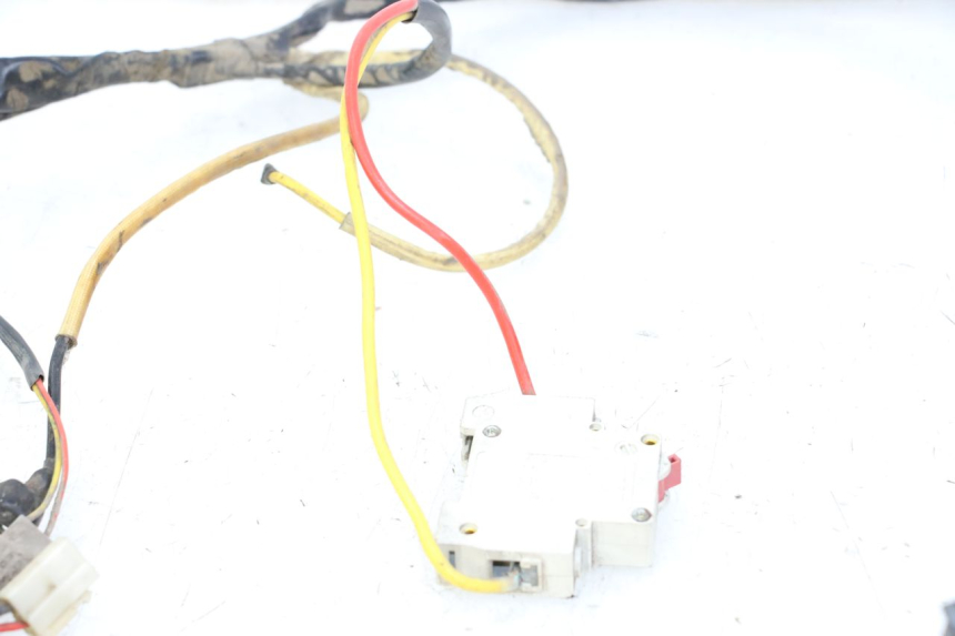 photo de KABELBOOM DOLPHIN PYGMY 1 (2020 - 2024) - Overzicht