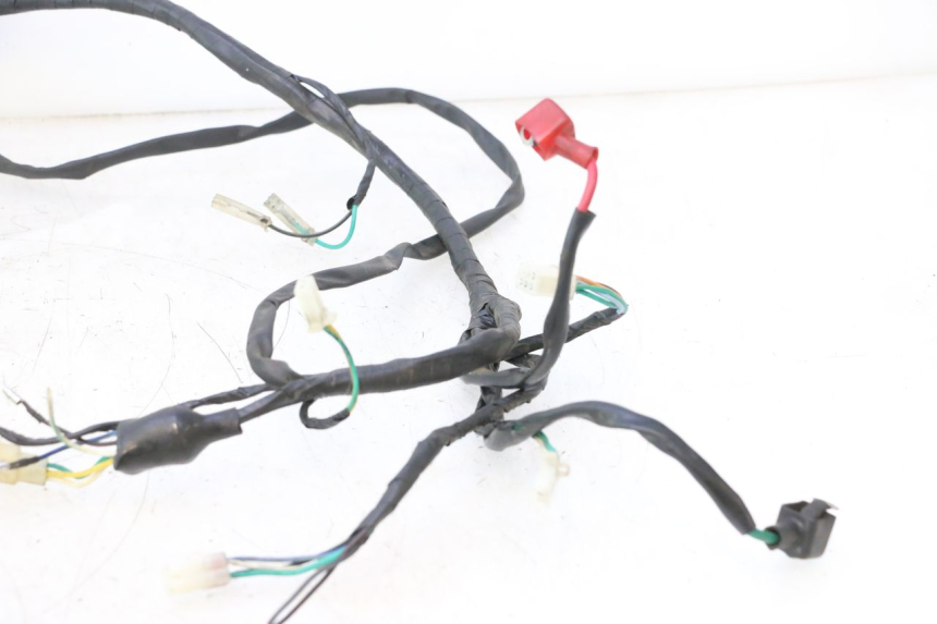 photo de KABELBOOM RAZZO QTR 50 (2011 - 2018) - Focus op structuur