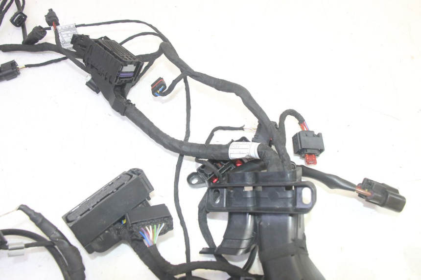 photo de KABELBOOM BMW R GS 1250 (2021 - 2024) - Zoom op gebruiksstaat