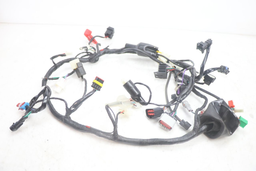 photo de KABELBOOM JM MOTORS R-MAX TECH 50 (2024 - 2026) - Hoofdaanzicht