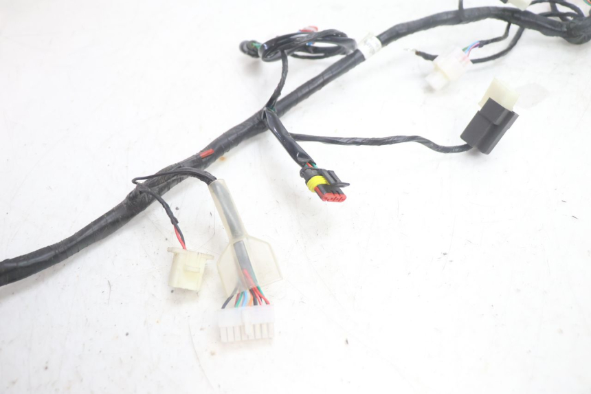 photo de KABELBOOM JM MOTORS R-MAX TECH 50 (2024 - 2026) - Zoom op gebruiksstaat