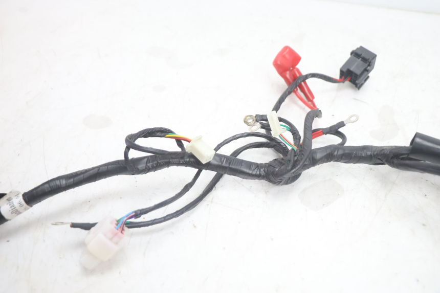 photo de KABELBOOM JM MOTORS R-MAX TECH 50 (2024 - 2026) - Andere kijkhoek