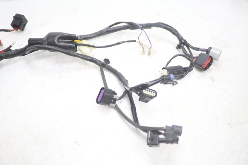 photo de KABELBOOM JM MOTORS R-MAX TECH 50 (2024 - 2026) - Technische close-up