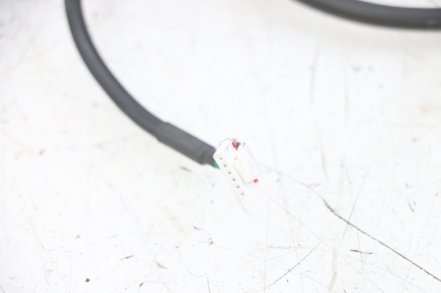 photo de KABELBOOM PUNK ELECTRIC RIDER 1 - Andere kijkhoek