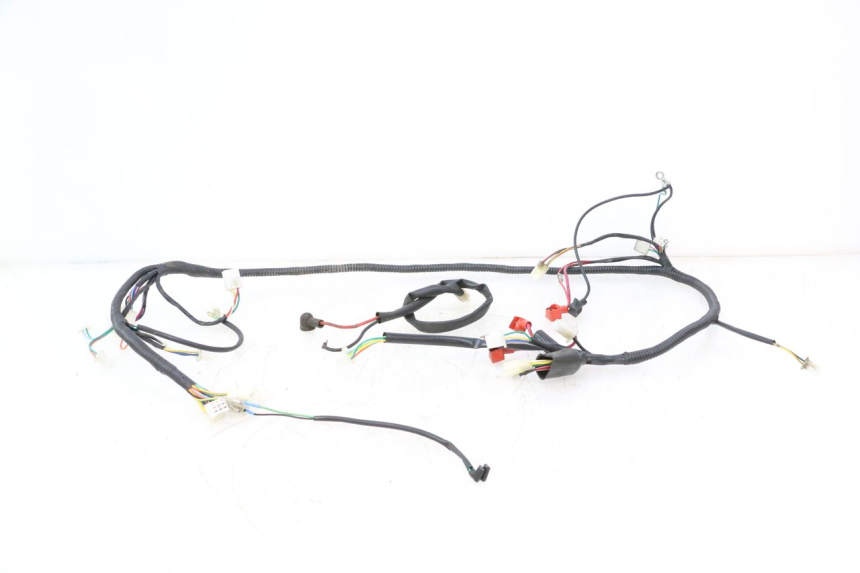 photo de KABELBOOM TNT MOTOR ROMA 10' 2T 50 (2011 - 2018) - Hoofdaanzicht