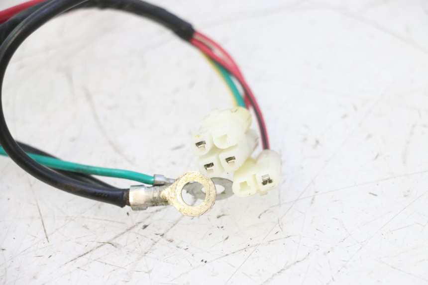 photo de KABELBOOM TNT MOTOR ROMA 12' 2T 50 (2007 - 2018) - Andere kijkhoek
