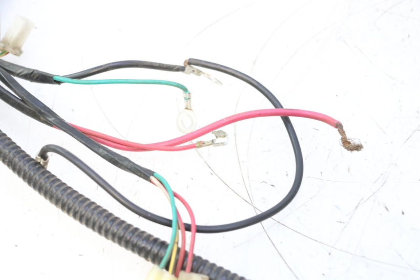 photo de KABELBOOM TNT MOTOR ROMA 12' 2T 50 (2007 - 2018) - Detail van het onderdeel