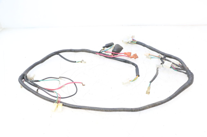 photo de KABELBOOM TNT MOTOR ROMA 12' 2T 50 (2007 - 2018) - Andere kijkhoek