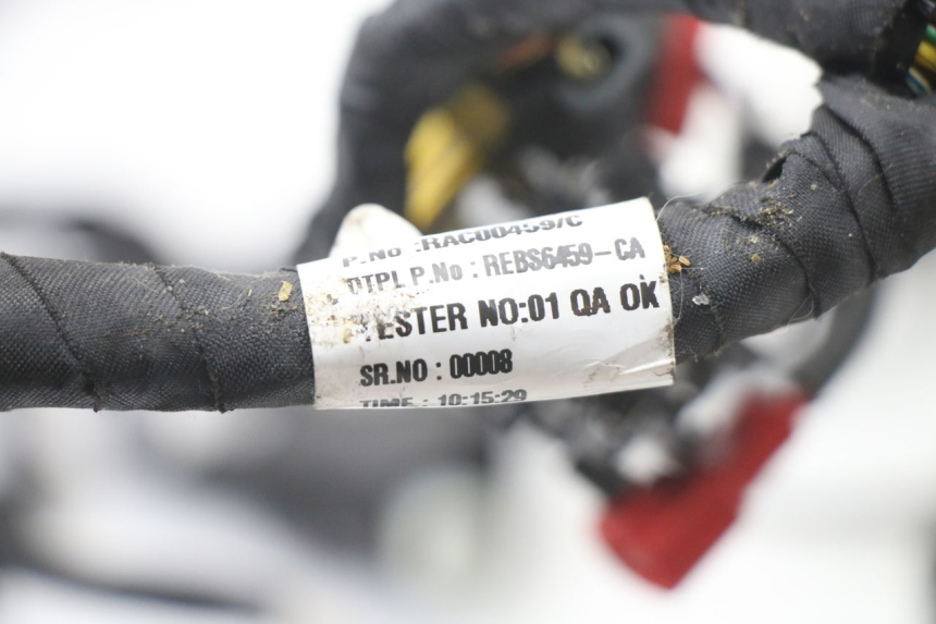 photo de KABELBOOM ROYAL ENFIELD HYMALAYAN 410 (2016 - 2023) - Focus op structuur