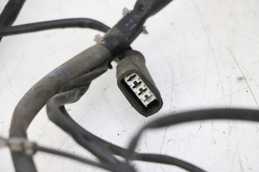 photo de KABELBOOM GILERA RUNNER SP 50 (2009 - 2017) - Overzicht