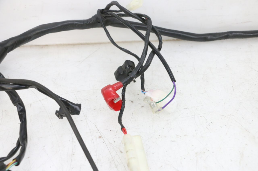 photo de KABELBOOM JM MOTORS SANTANA EVO 50 (2024 - 2026) - Zoom op componenten