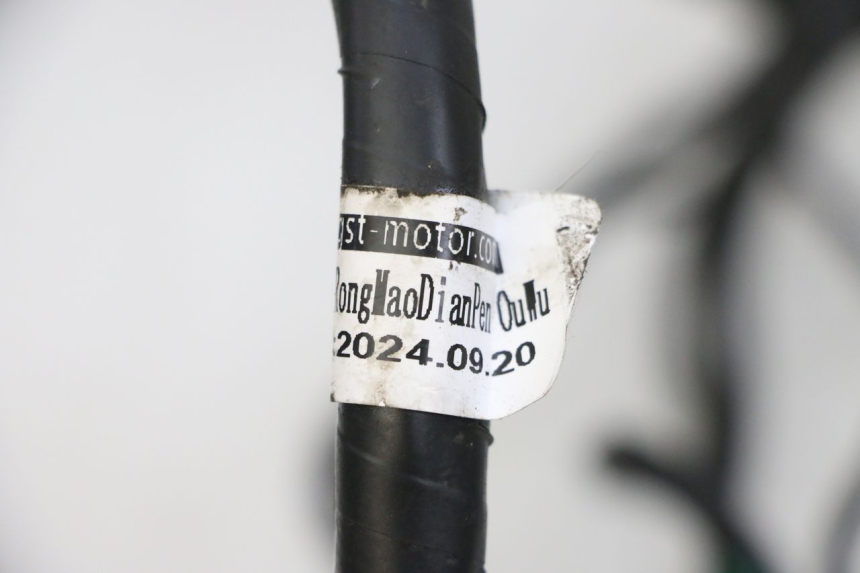 photo de KABELBOOM JM MOTORS SANTANA EVO 50 (2024 - 2026) - Andere kijkhoek